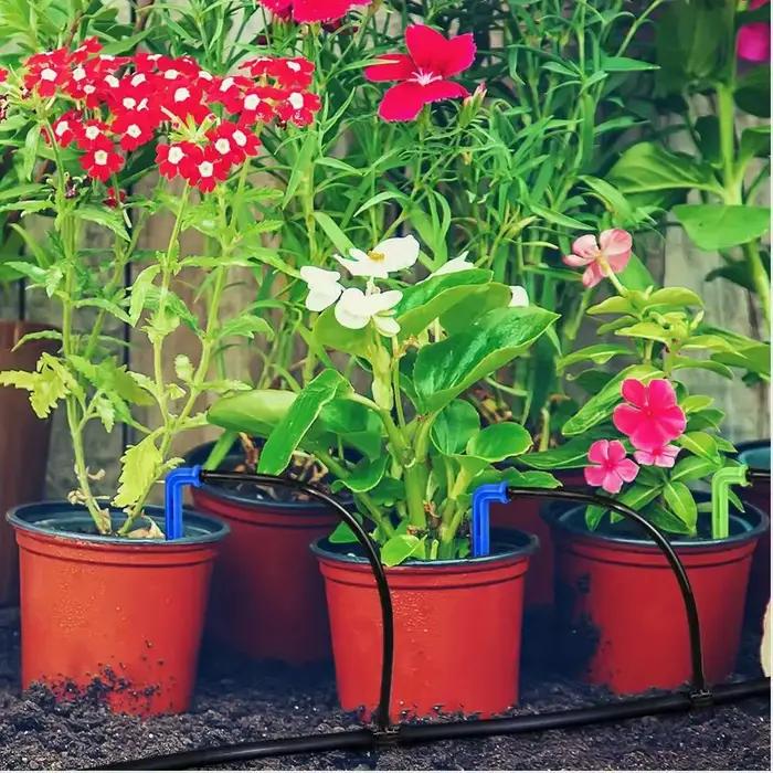 Goutteurs de flèche d'irrigation pour jardin 10cm 50 pièces système d'arrosage précis pour puits de plantation jardinage fleurs légumes usage quotidien occassions spéciales