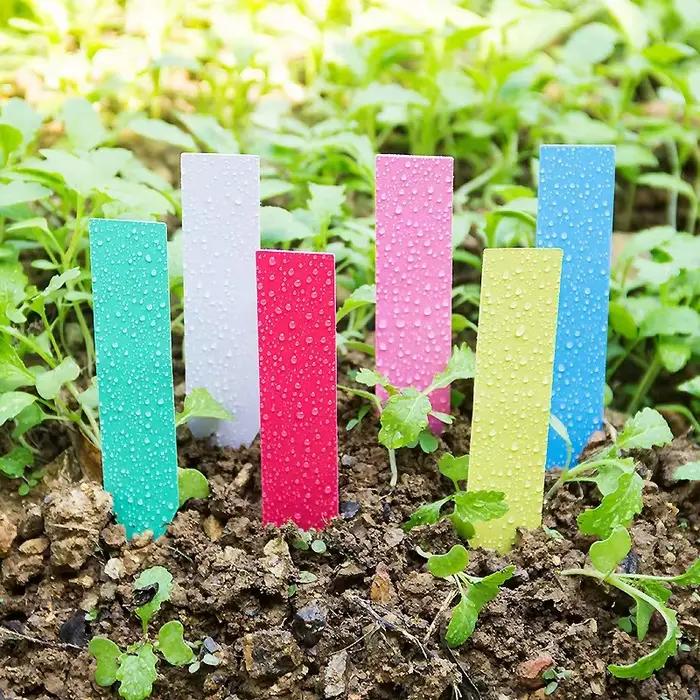 100 pièces étiquettes de plantes de jardin étiquettes de plantes en PVC marqueurs de pépinière Pots