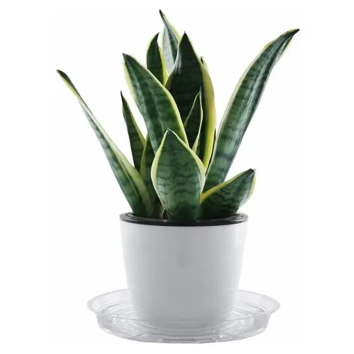 Soucoupe pour plantes de jardin, plateau d'égouttement transparent en plastique, Pot de fleur rond,