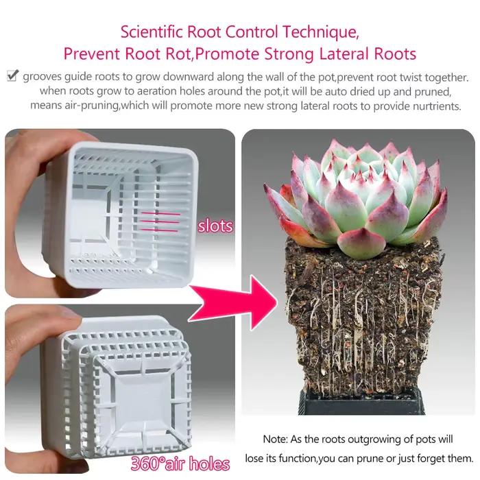 Pot Succulent en maille avec trous, Pot à Lithop pour Cactus, contrôle des racines, jardinière succu