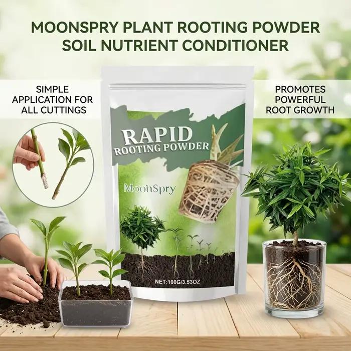 Poudre d'enracinement acide humique pour croissance radiculaire rapide des plantes en pot, semis, jardinage biologique et cultures de plein champ