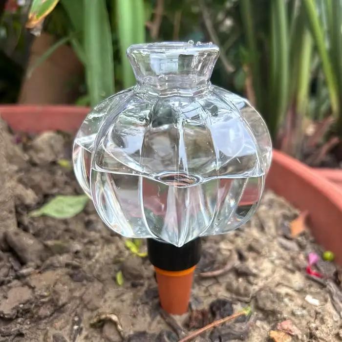 Dispositif d'arrosage automatique Transparent en forme de lanterne pour plantes en pot