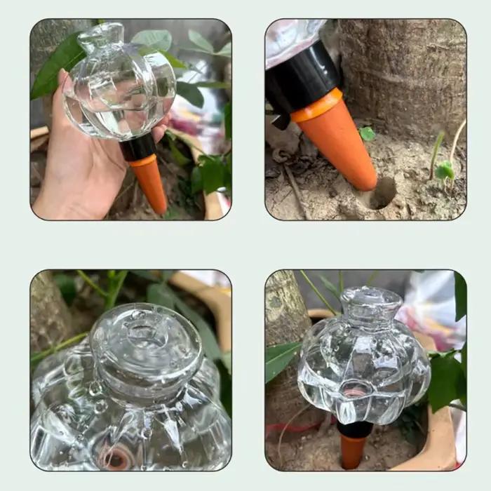 Dispositif d'arrosage automatique Transparent en forme de lanterne pour plantes en pot