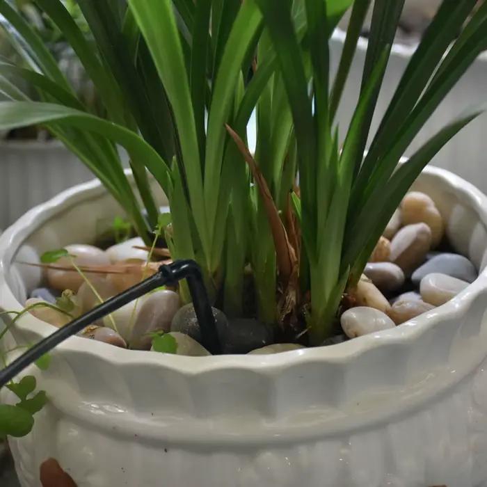 Système d'irrigation goutte-à-goutte