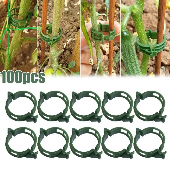 Clips de support pour plantes en plastique beige pour jardins et serres, 100 pièces pour maintenir et organiser les plantes grimpantes et légumineuses