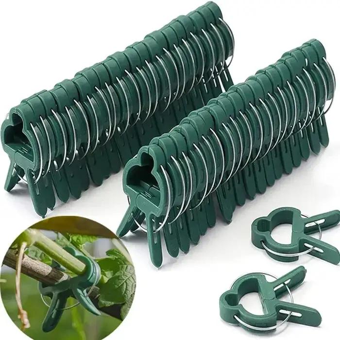 Clips fixes pour plantes, Support de serre de jardin réutilisable pour plantes fixes, vigne, fleur,