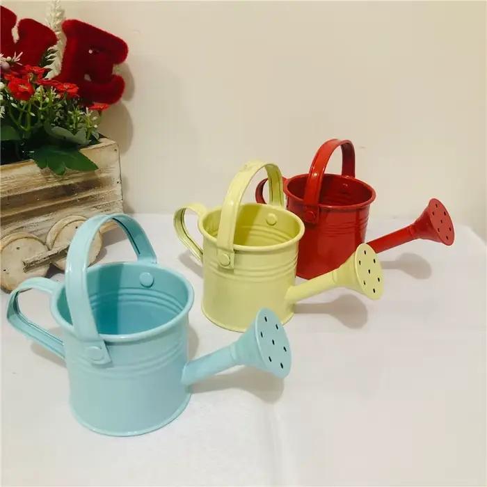 Arrosoir en métal pour jardin-Mini petit pot pulvérisateur