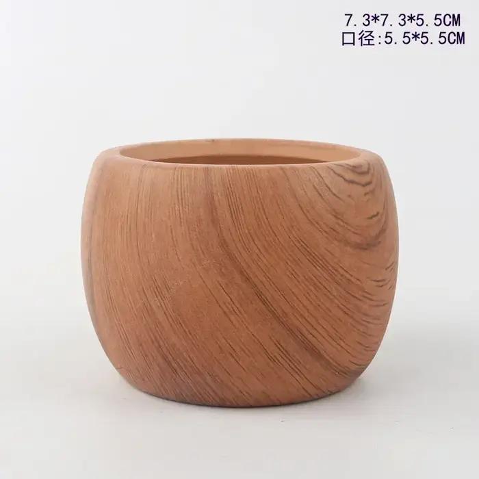 Pots de fleurs succulentes à transfert d'eau en céramique