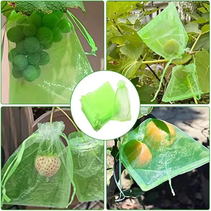 50/100 pièces Sacs de protection pour fruits avec cordon de serrage, sacs en filet anti-parasites po