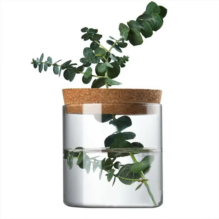 Pot de fleur hydroponique transparent, vase de plantation d'eau, conteneur paresseux, plantes britto