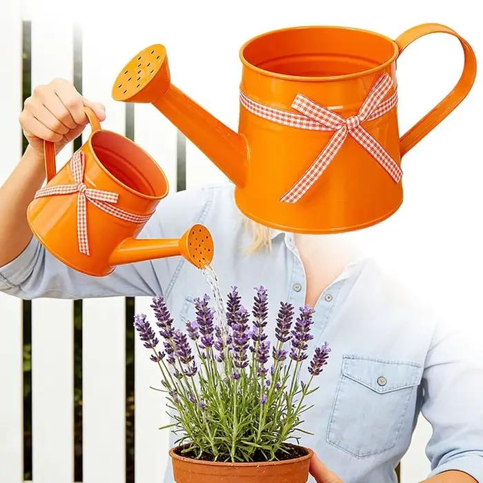 Arrosoir compact 1L métal avec tête de pulvérisation et ruban à carreaux pour plantes intérieures et extérieures, idéal pour le jardin, le balcon, le bureau et la maison