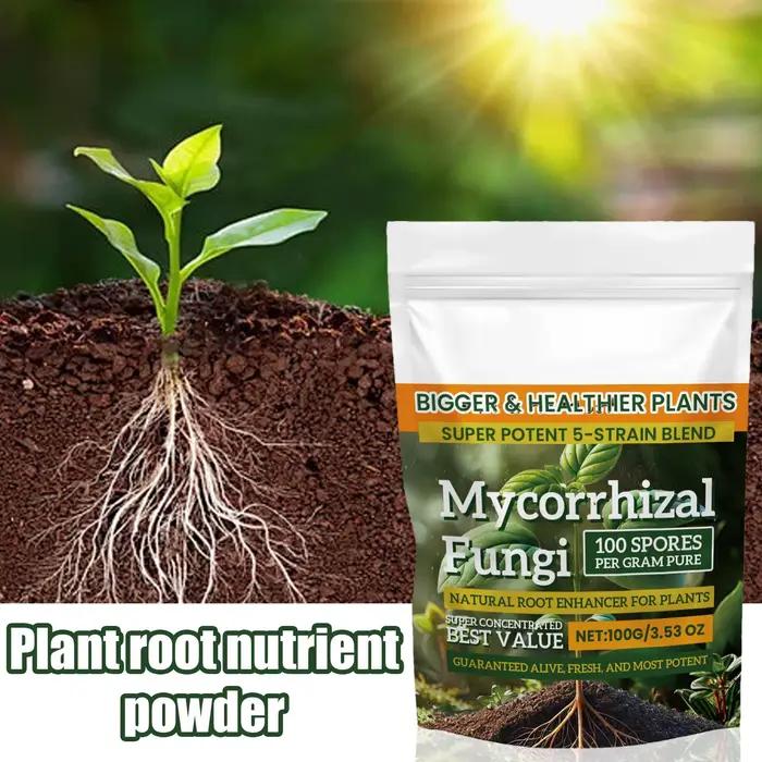 Rehausseur de racines pour plantes naturelles