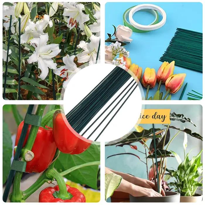 Piquets de support de plantes en bambou, poteau de support floral, bâtons de jardin verts polyvalent