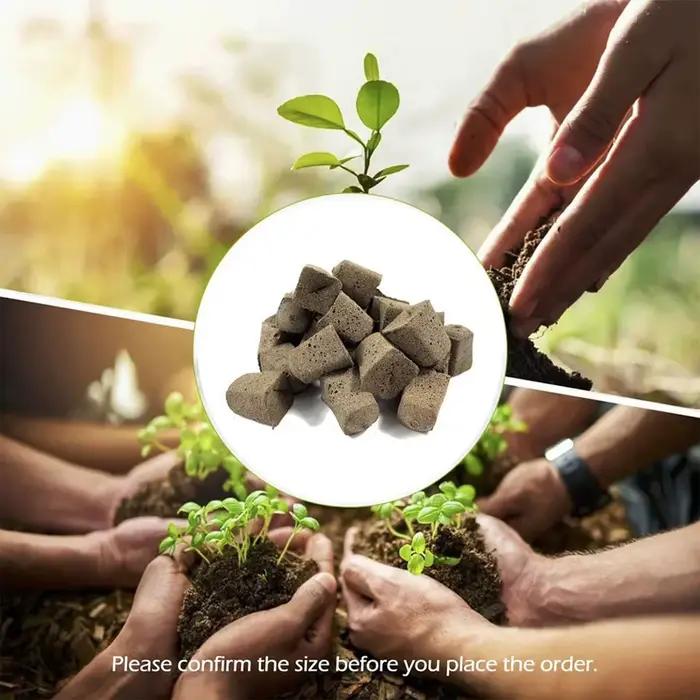 Éponges hydroponiques pour semis, fleurs de jardin, plantation, pouce vert, nuit de sol pour favoris