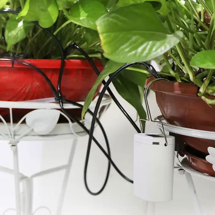 Pompe d'arrosage automatique pour plantes et fleurs