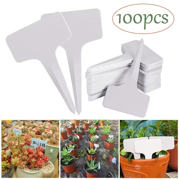 100 pièces marqueurs d'étiquettes de plantes de Type T étanche PVC plantes de jardin Classification