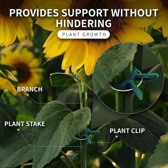 Clips fixes pour plantes, Support de serre de jardin réutilisable pour plantes fixes, vigne, fleur,