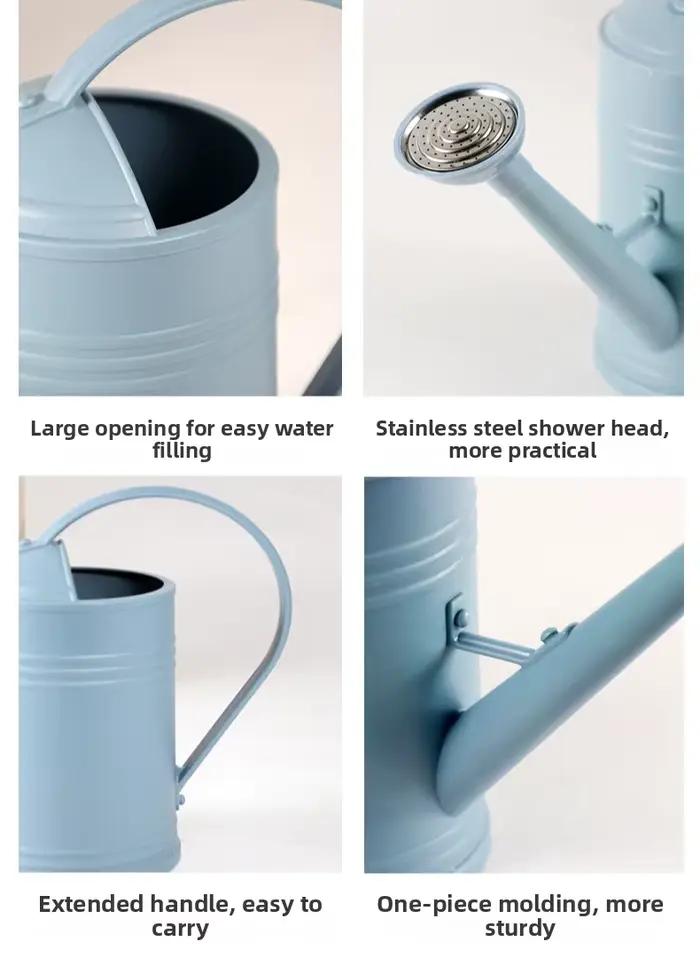 Arrosoir en métal pour plantes d'intérieur et extérieures avec tête de pulvérisation et poignée ergonomique pour un arrosage précis et confortable
