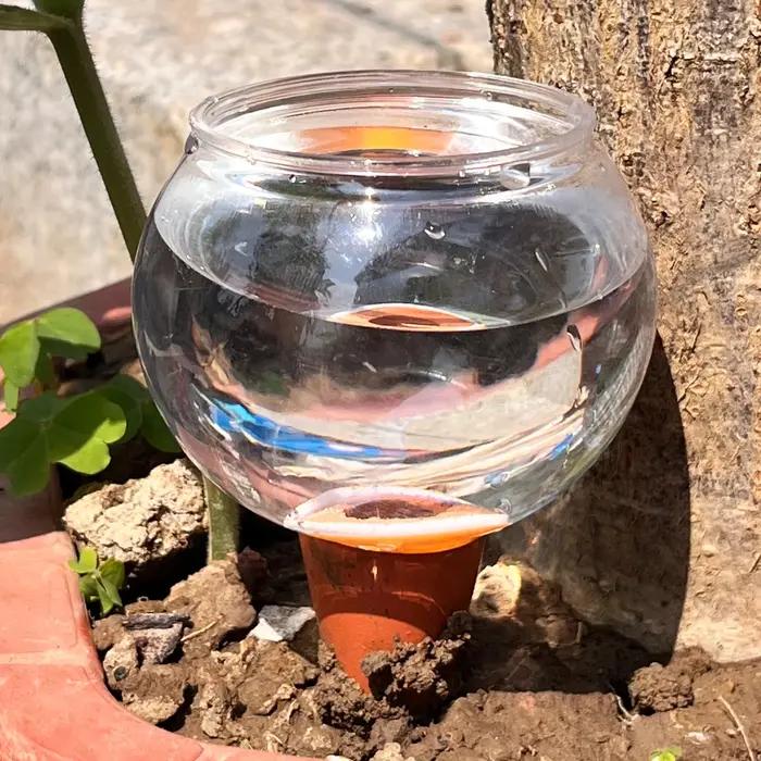 Système d'irrigation goutte-à-goutte automatique 3 pièces