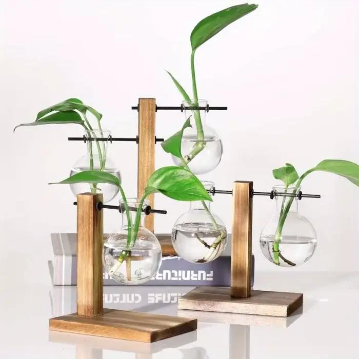 Pots de fleurs en verre