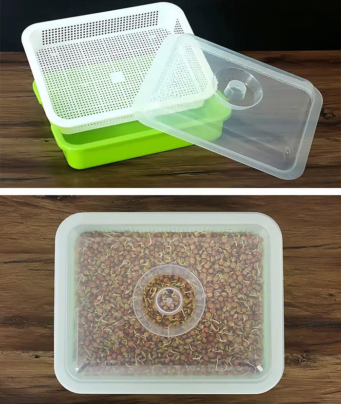 1 ensemble plat de germination Pot de culture hydroponique semis de légumes haricots Pot de semis pl