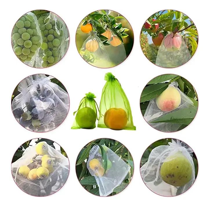 Sacs de Culture de Fruits et Légumes, Protection Contre les Oiseaux, Filet en Maille, Outils de Jard