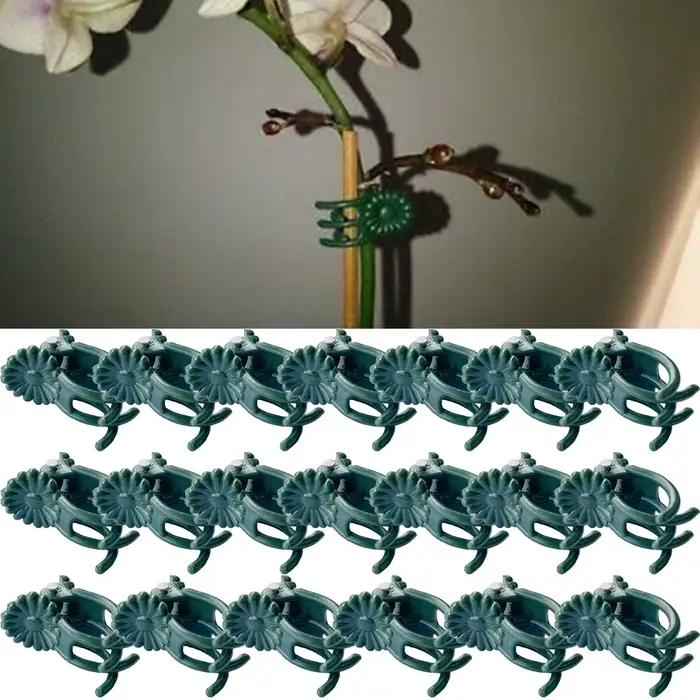 20 pièces orchidée tige pince plante Support vigne Clips en plastique fleur grandir branche pinces j