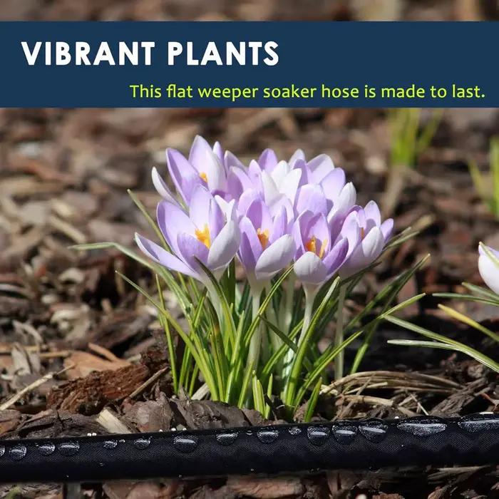 Tuyau d'arrosage, tuyaux d'arrosage plats épaissis pour jardin