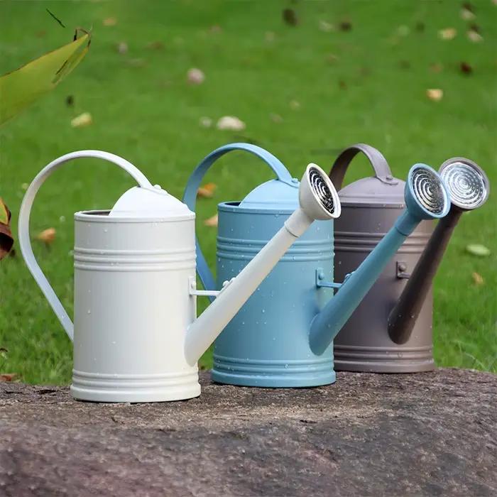 Arrosoir en métal pour plantes d'intérieur et extérieures avec tête de pulvérisation et poignée ergonomique pour un arrosage précis et confortable