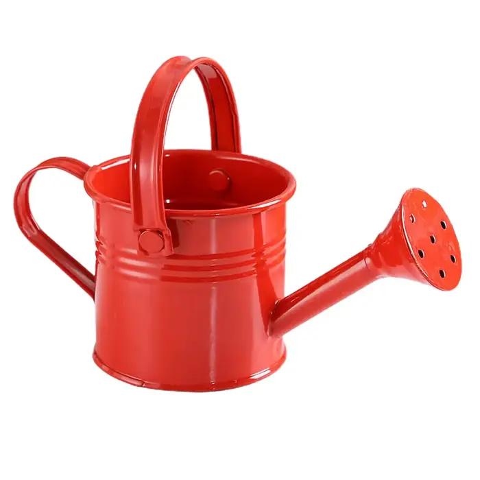 Arrosoir en métal pour jardin-Mini petit pot pulvérisateur