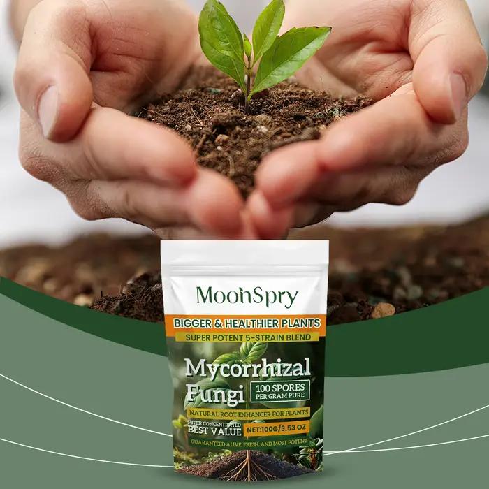 Poudre d'amélioration du système racinaire des plantes biologiques ; Complément nutritif pour les ra