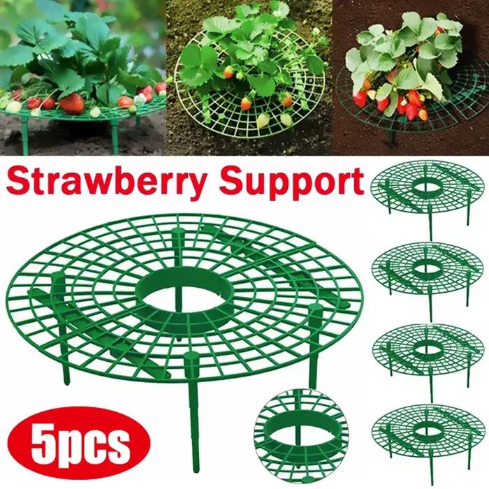 Supports de fraises pour conserver les plantes et les fruits, support de culture de légumes, outils