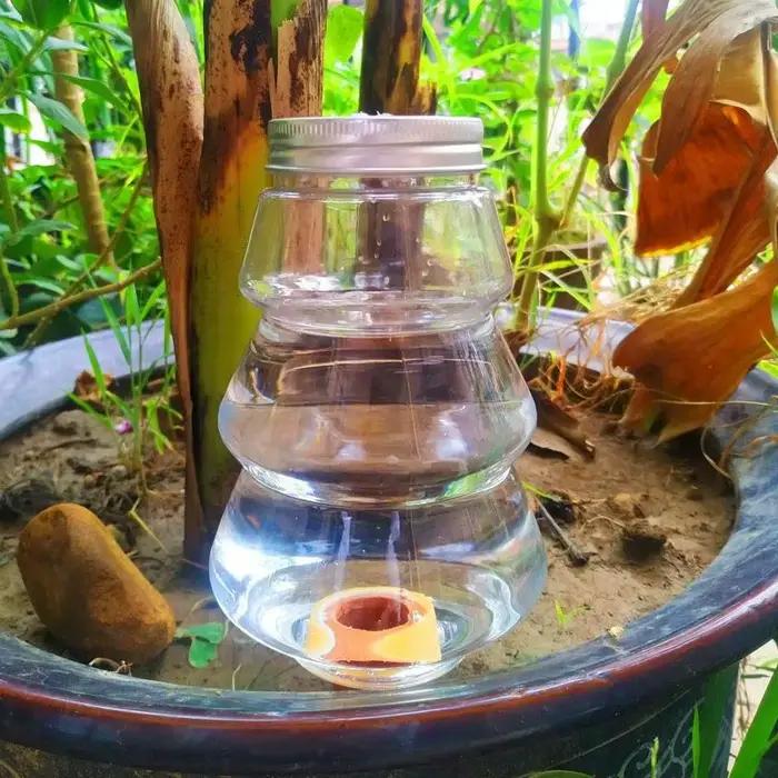 Outil d'arrosage automatique de jardin, système d'irrigation goutte à goutte d'intérieur, arroseurs