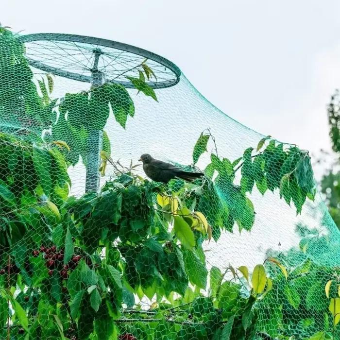 Filet anti-oiseaux pour plantes de jardin