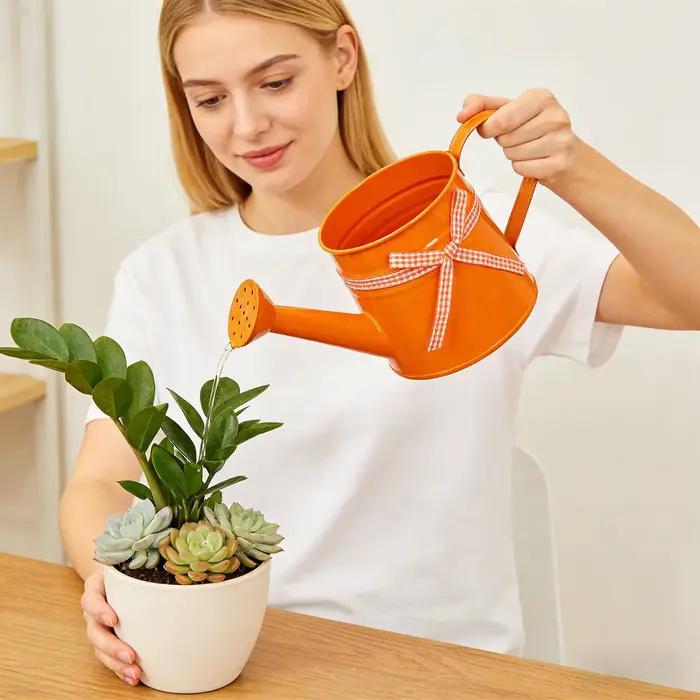 Arrosoir miniature en métal avec tête de pulvérisation et ruban à carreaux pour plantes d'intérieur et extérieur, idéal pour le jardinage et la décoration intérieure
