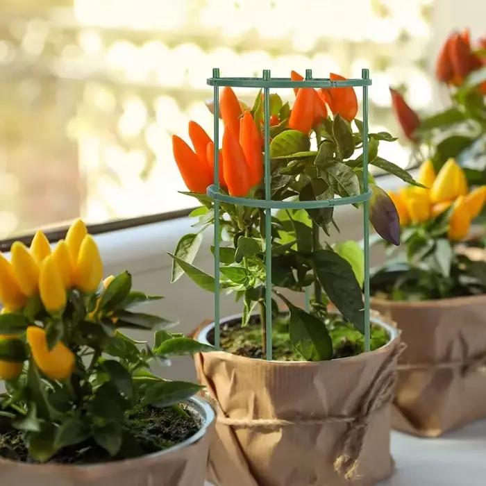 Support en plastique pour plantes, support pour fleurs et serres, outils de jardin