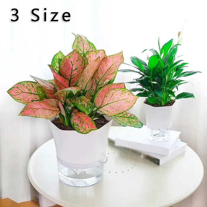 Pot de fleurs Transparent à arrosage automatique, Pot de fleurs Hexagonal paresseux, jardinières en