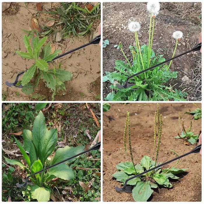 Houe de jardin fournitures agricoles outil de mauvaises herbes outils de jardinage ustensiles main herbicide
