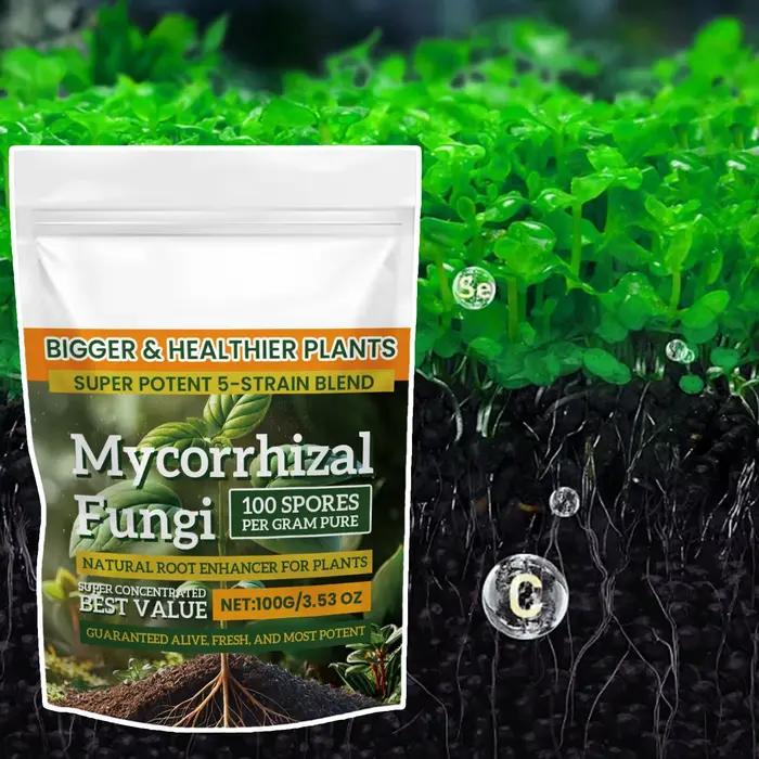 Rehausseur de racines pour plantes naturelles