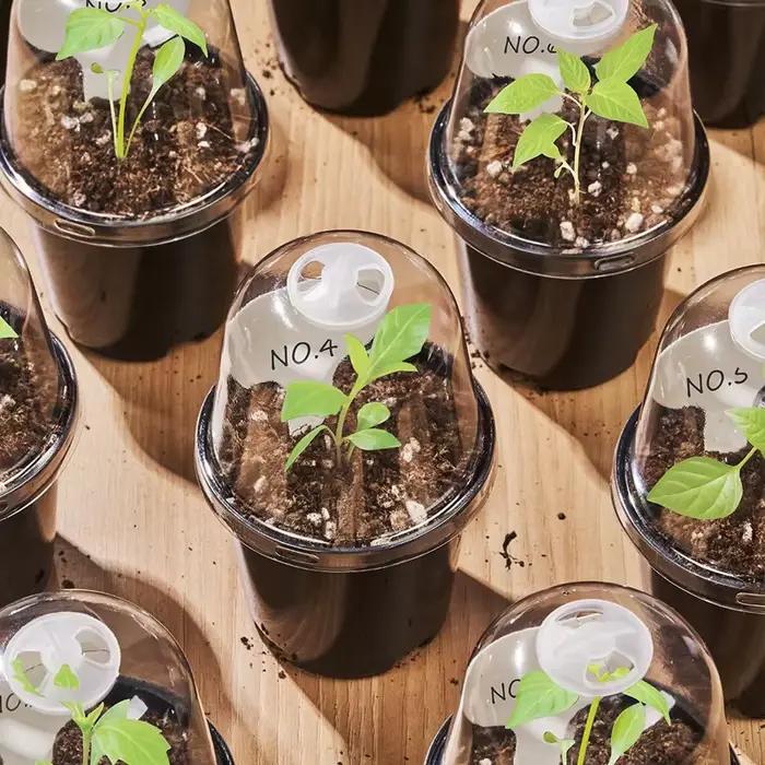 Pots de pépinière, pots à fleurs