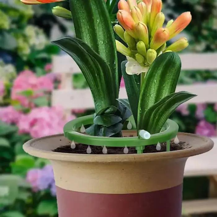 Goutteur d'arrosage automatique des plantes avec support